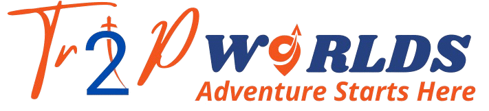 trip to worlds